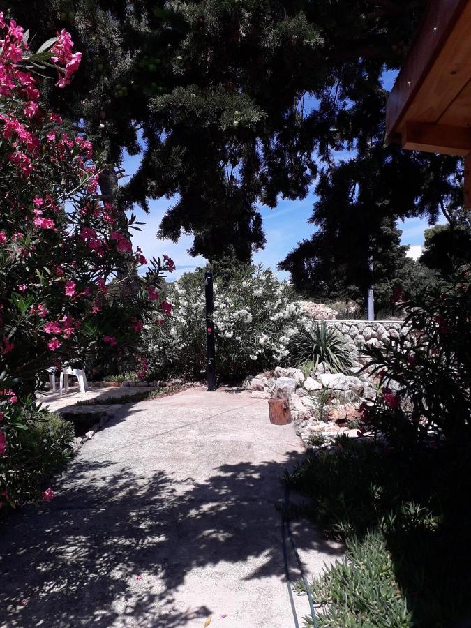 Holiday Home نوفاليا المظهر الخارجي الصورة