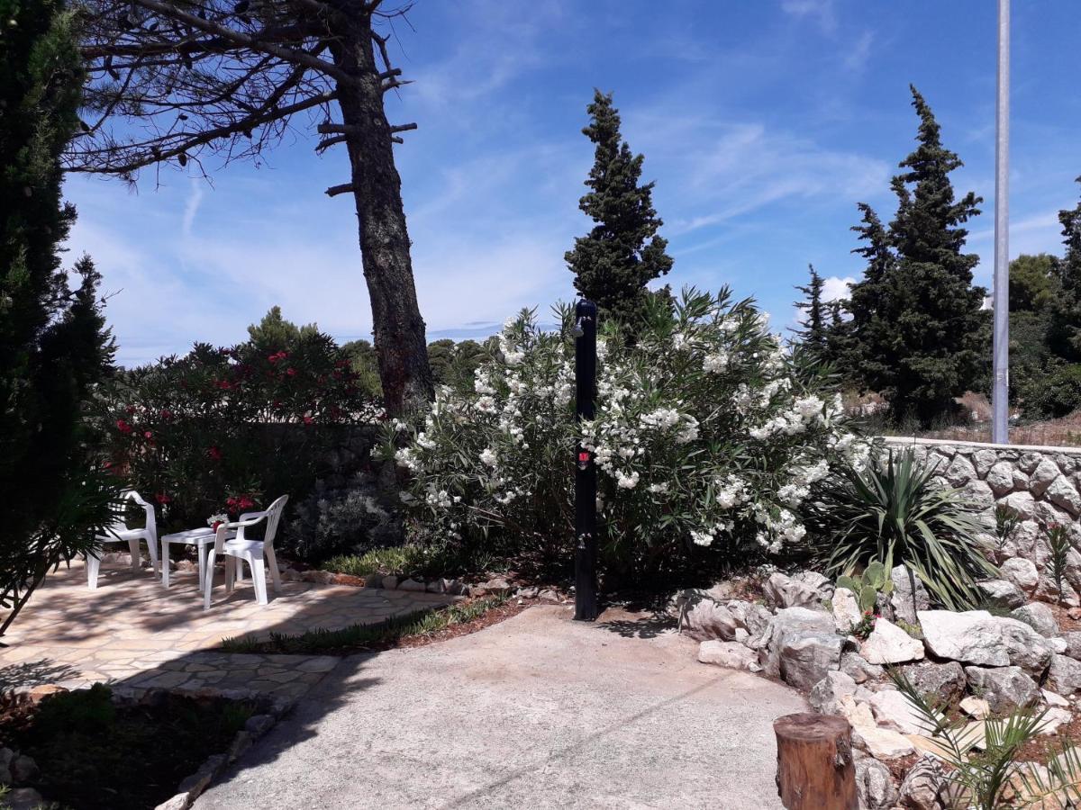 Holiday Home نوفاليا المظهر الخارجي الصورة