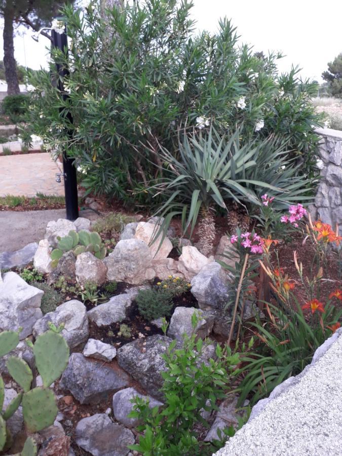 Holiday Home نوفاليا المظهر الخارجي الصورة