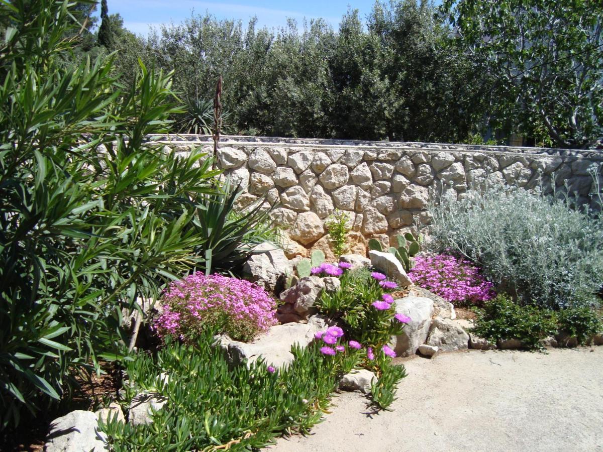 Holiday Home نوفاليا المظهر الخارجي الصورة